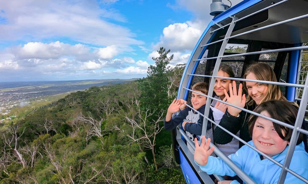 Arthur’s Seat Eagle Cable Car Ride Over the Mornington Peninsula - სურათი 6