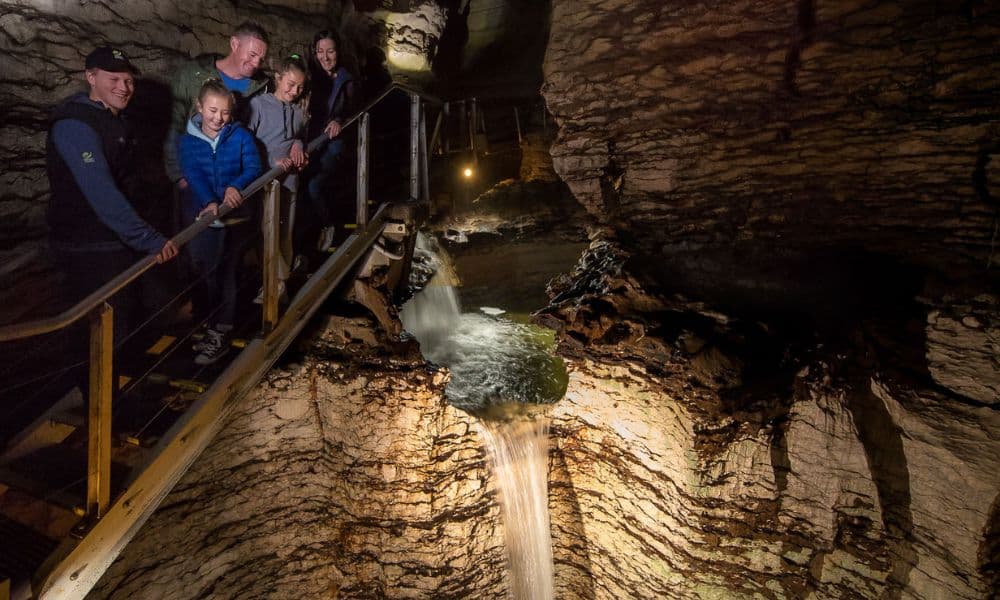 Te Anau Glowworm Caves Tour - სურათი 6
