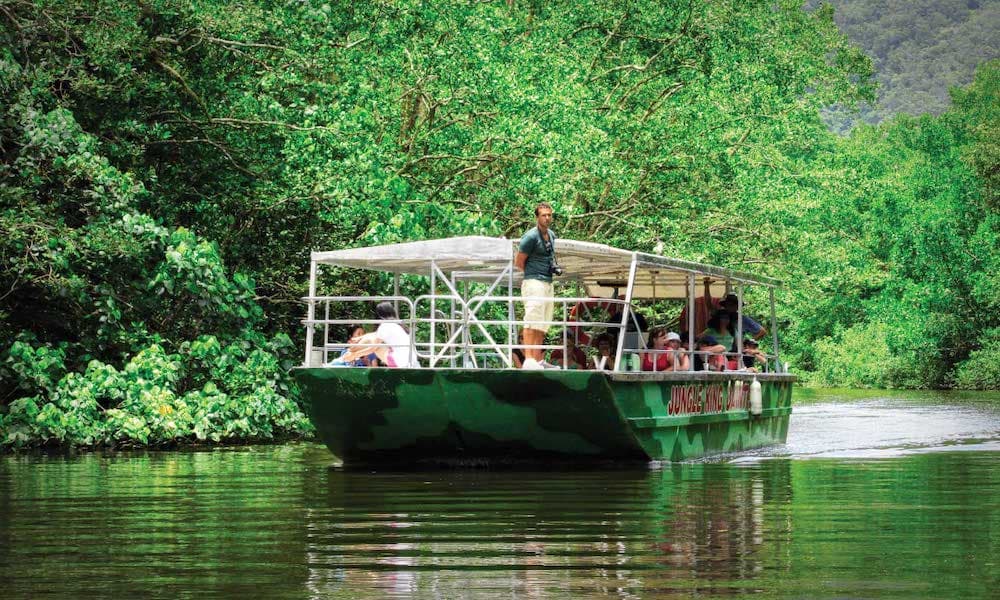 Crocodile Express Daintree Cruise from Daintree Gateway - მთავარი სურათი