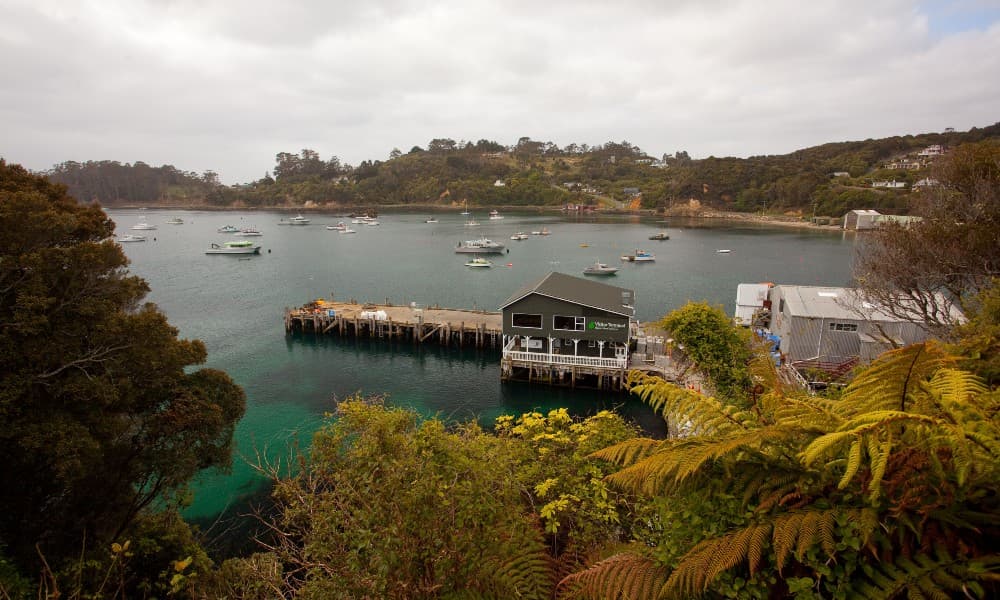 Stewart Island Ferry - Bluff to Stewart Island - სურათი 4