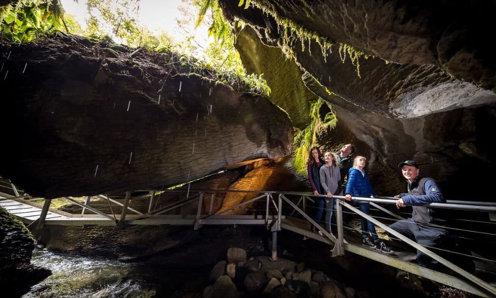 Te Anau Glowworm Caves Tour - სურათი 5