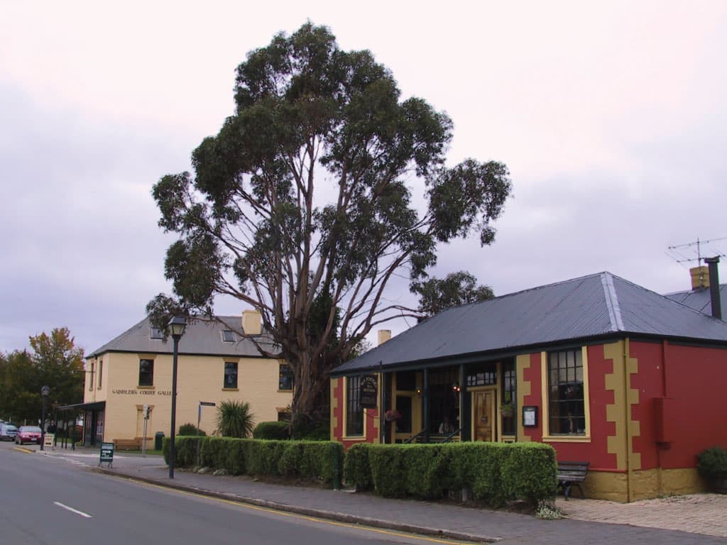Mount Wellington and Hobart City Tour - სურათი 8