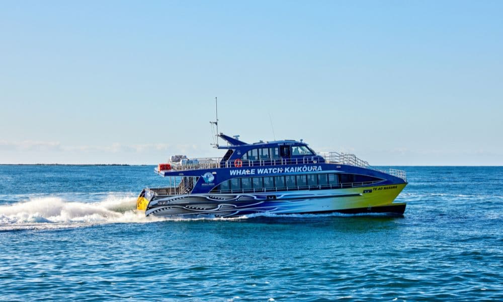 Whale Watching Cruise Kaikoura - მთავარი სურათი