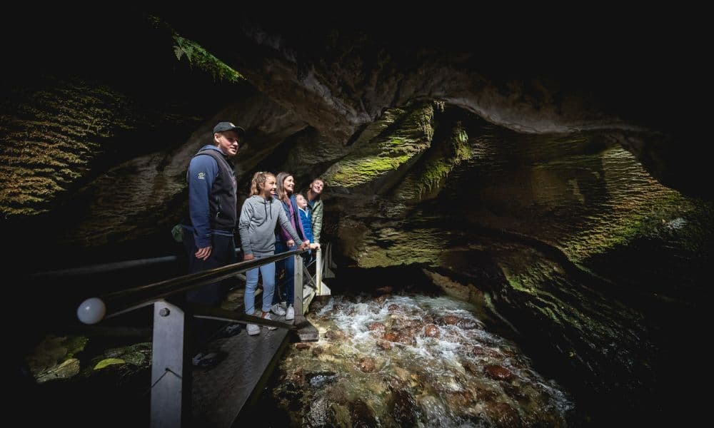 Te Anau Glowworm Caves Tour - სურათი 7